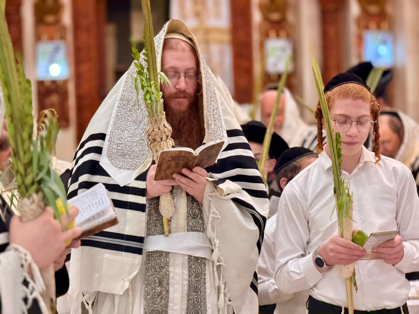 חג הסוכות במרכז חסידות קאליב | צילום: באדיבות המצלם