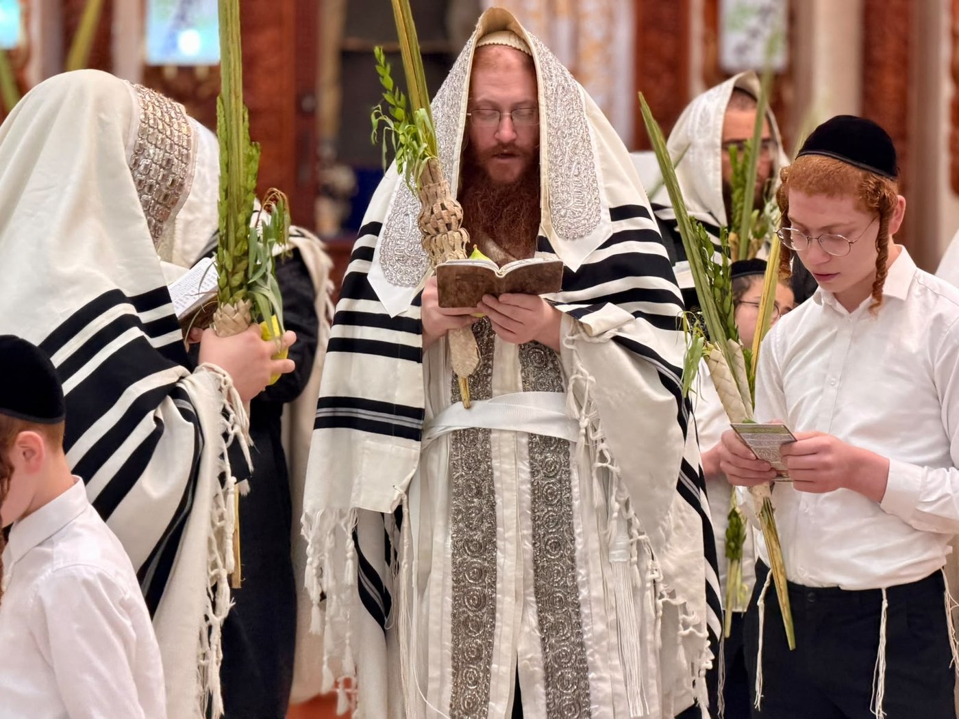 חג הסוכות במרכז חסידות קאליב | צילום: באדיבות המצלם