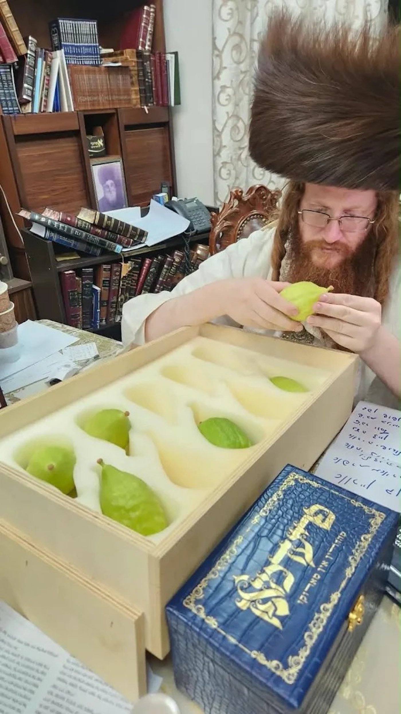 חג הסוכות במרכז חסידות קאליב | צילום: באדיבות המצלם