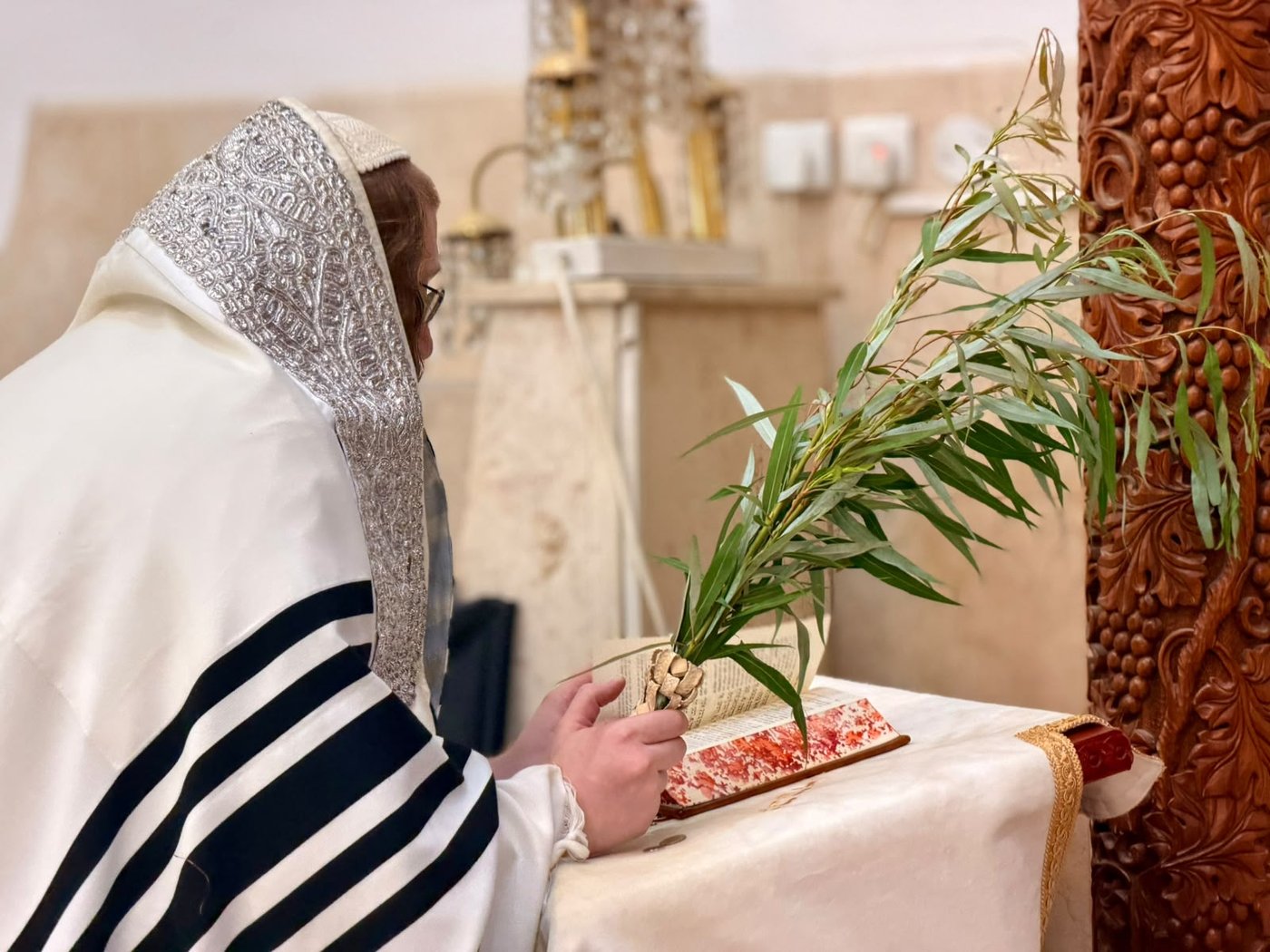 חג הסוכות במרכז חסידות קאליב | צילום: באדיבות המצלם