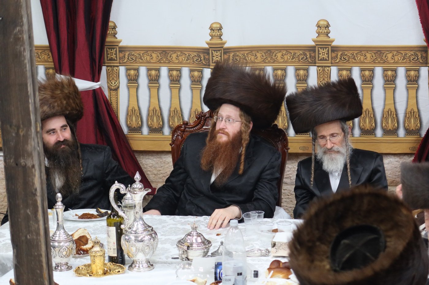 חג הסוכות במרכז חסידות קאליב | צילום: באדיבות המצלם