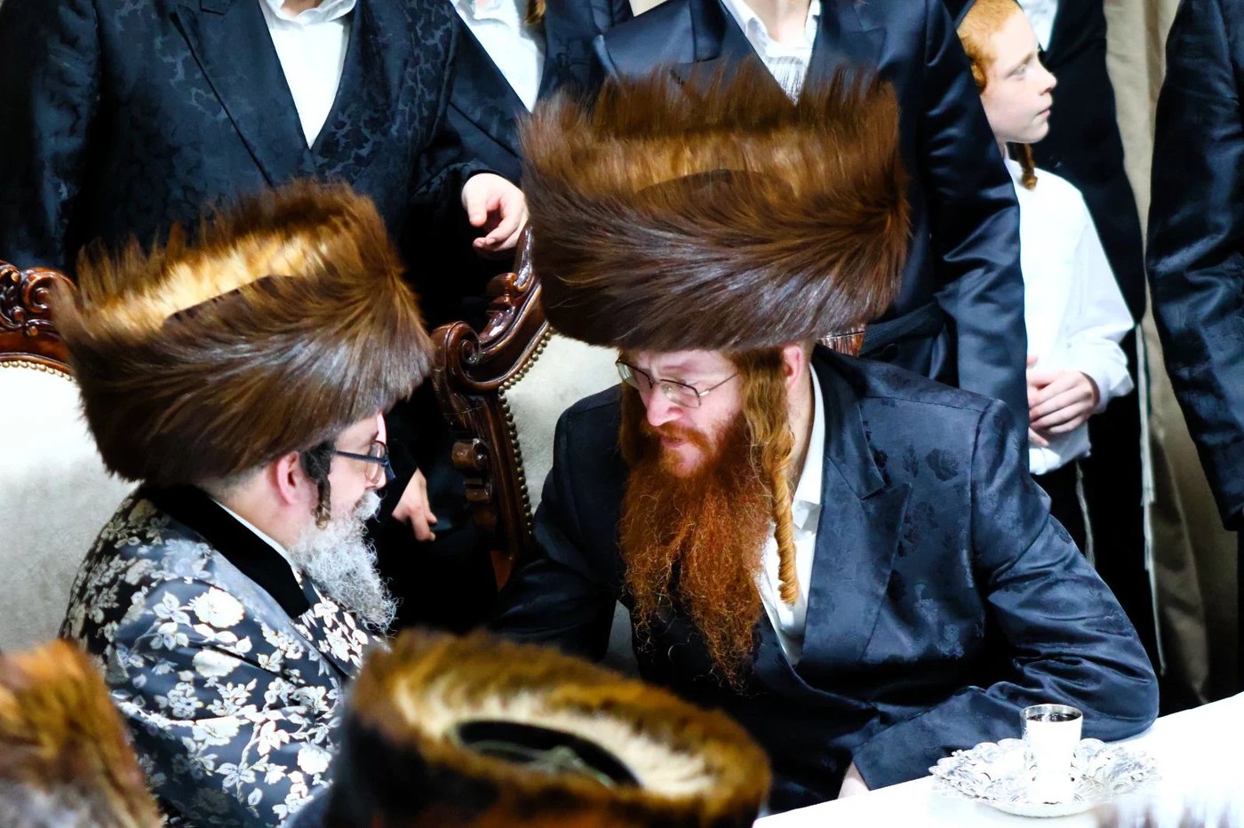 חג הסוכות במרכז חסידות קאליב | צילום: באדיבות המצלם