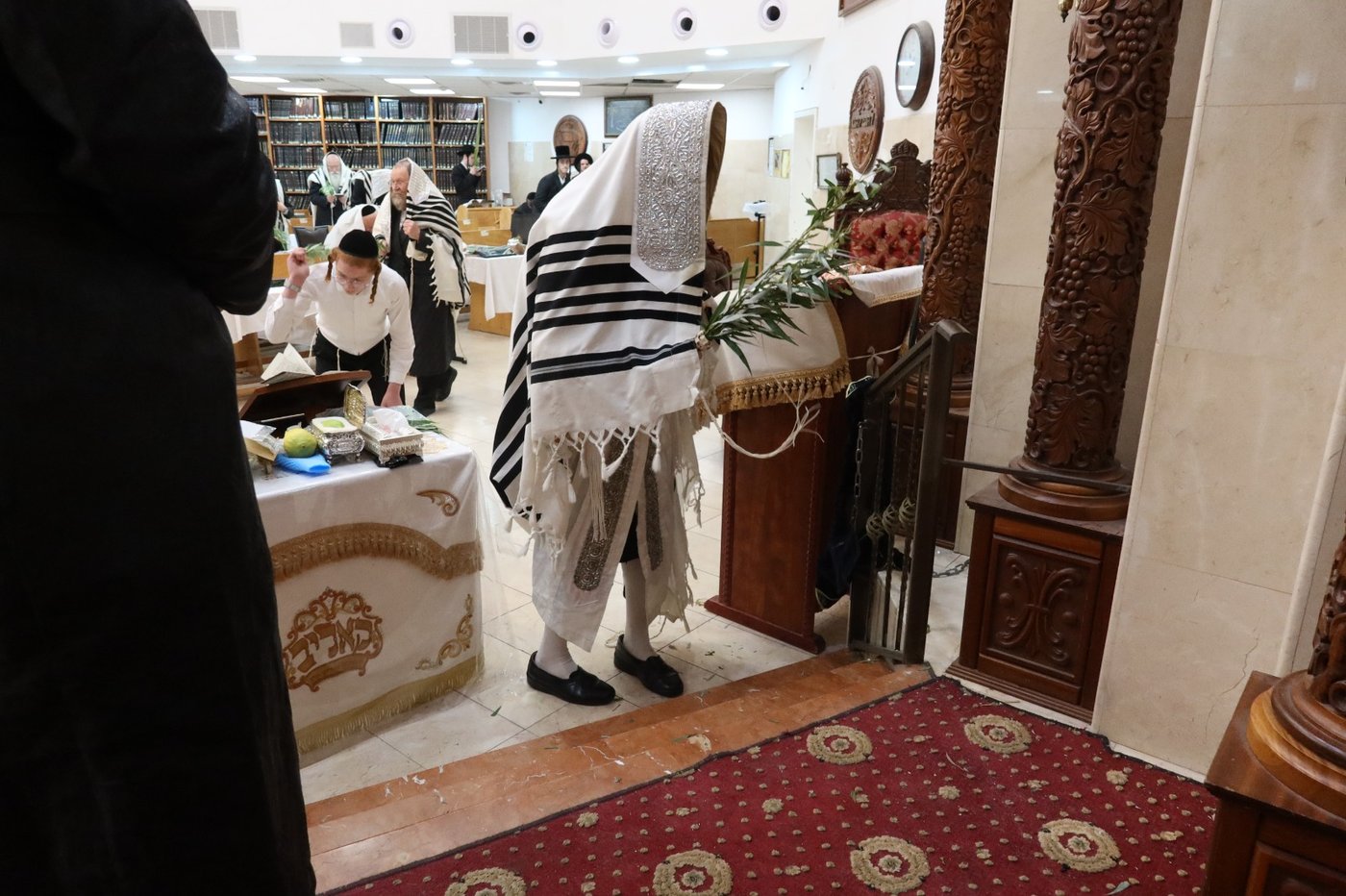 חג הסוכות במרכז חסידות קאליב | צילום: באדיבות המצלם