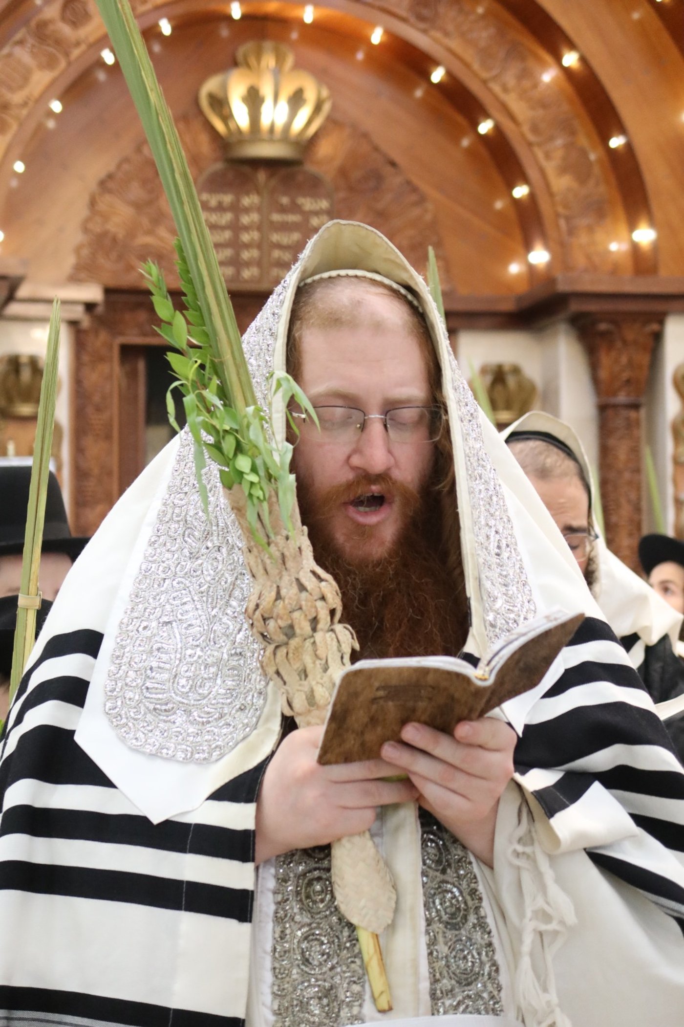 חג הסוכות במרכז חסידות קאליב | צילום: באדיבות המצלם