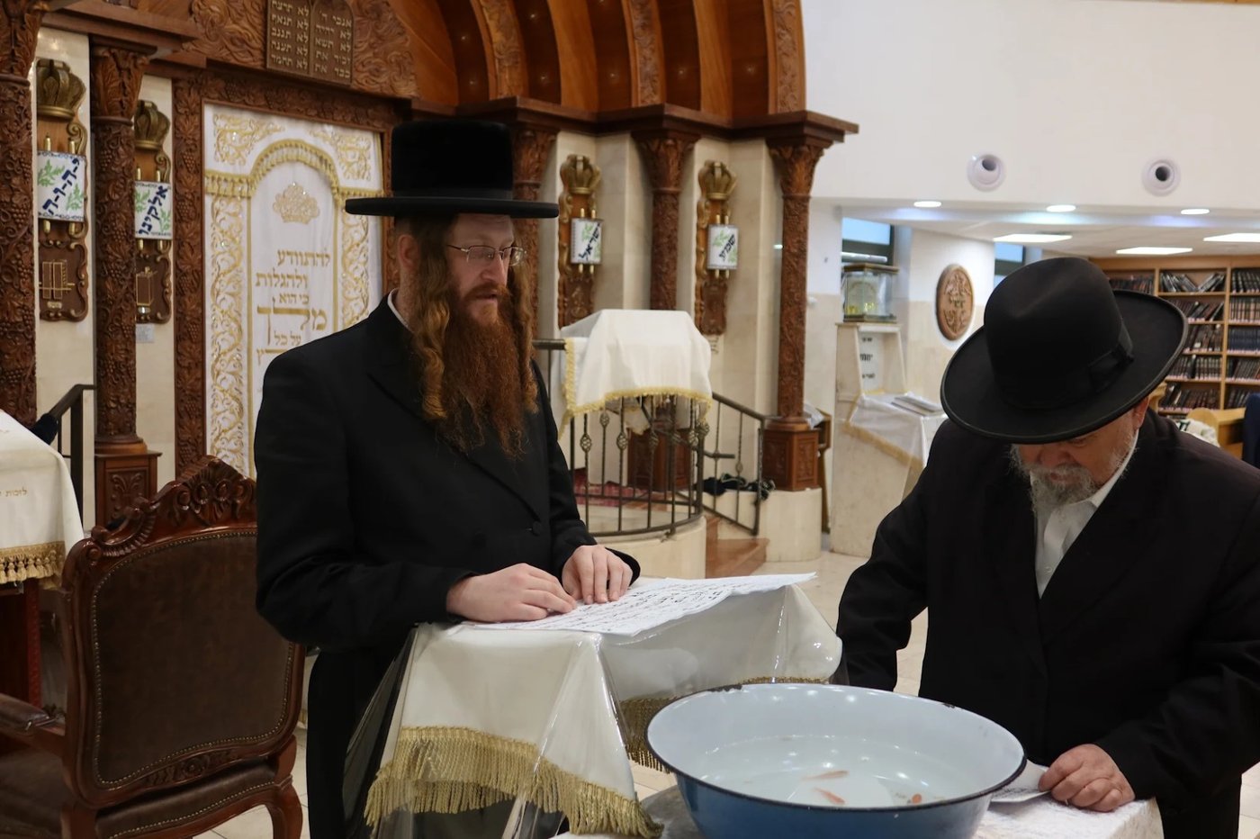 חג הסוכות במרכז חסידות קאליב | צילום: באדיבות המצלם
