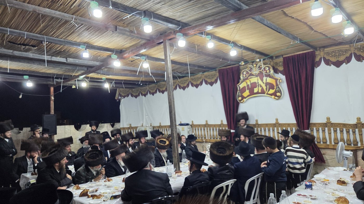 חג הסוכות במרכז חסידות קאליב | צילום: באדיבות המצלם
