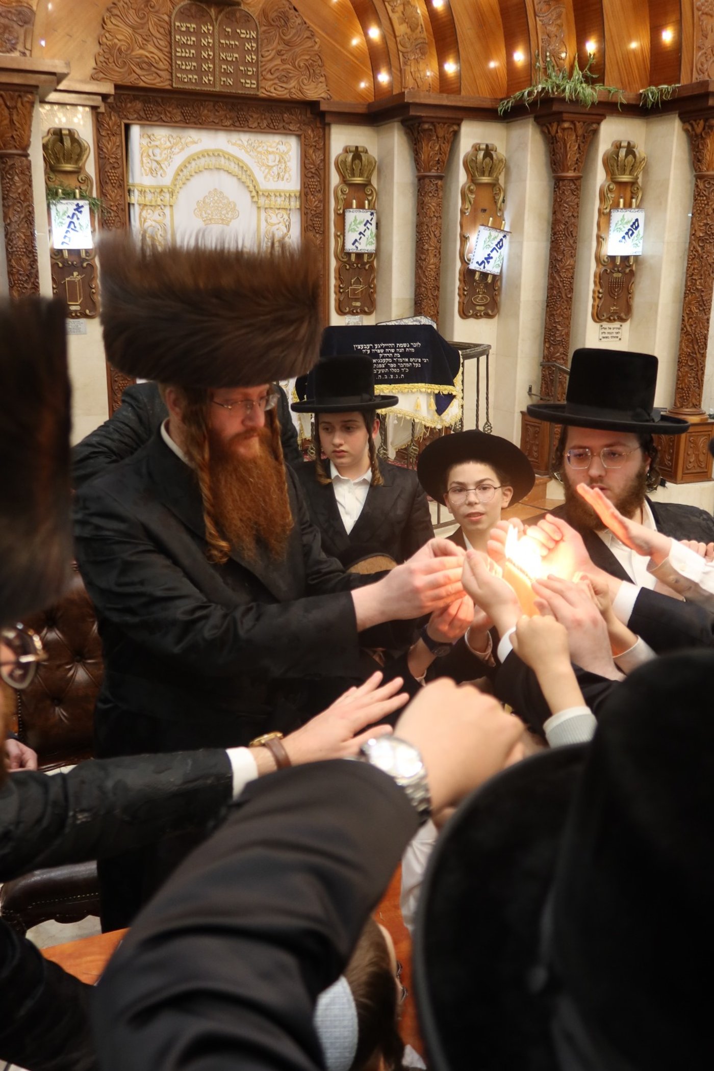 חג הסוכות במרכז חסידות קאליב | צילום: באדיבות המצלם