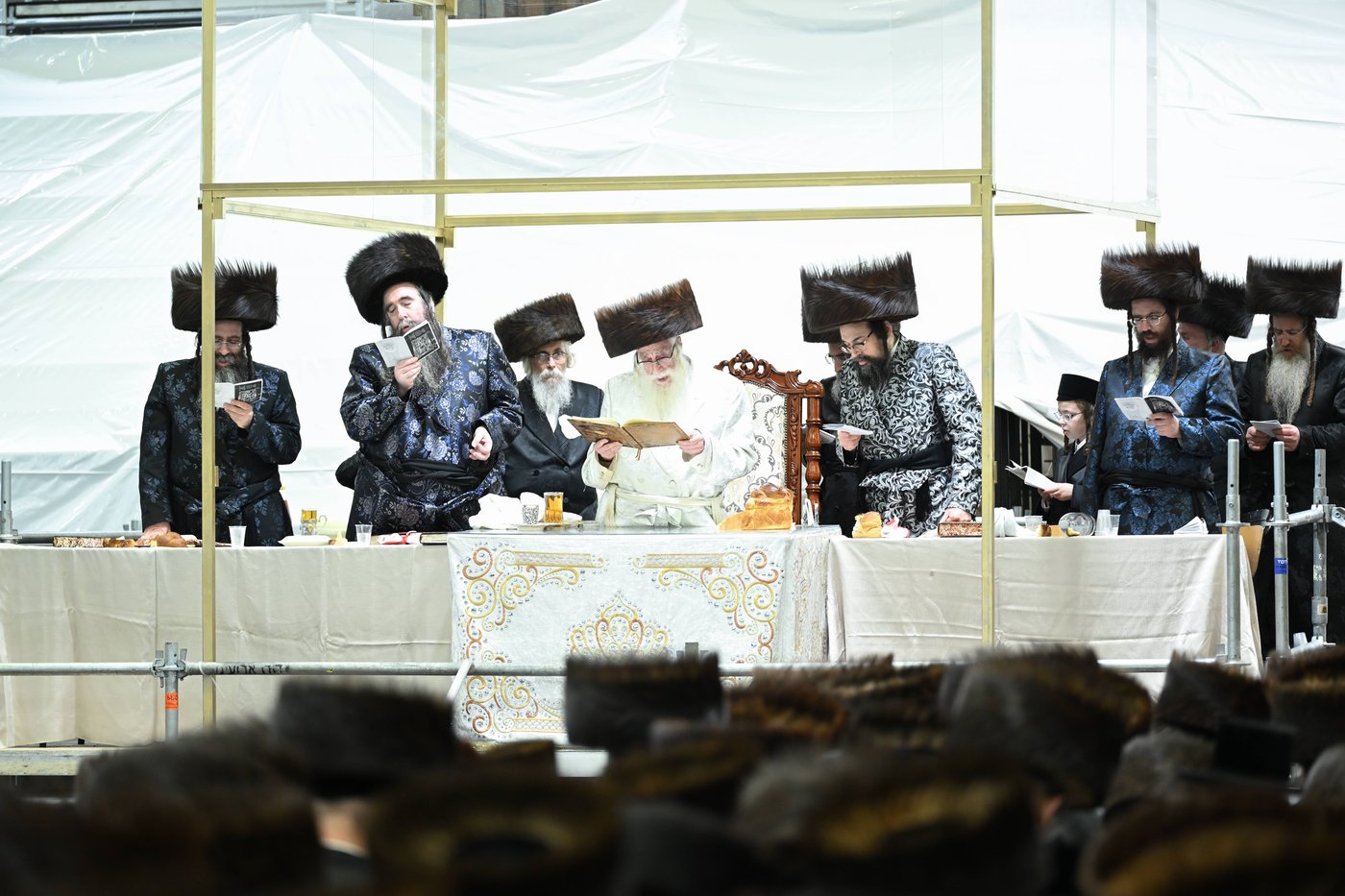 עפל טיש בצאנז