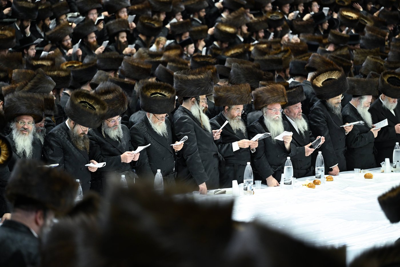 עפל טיש בצאנז