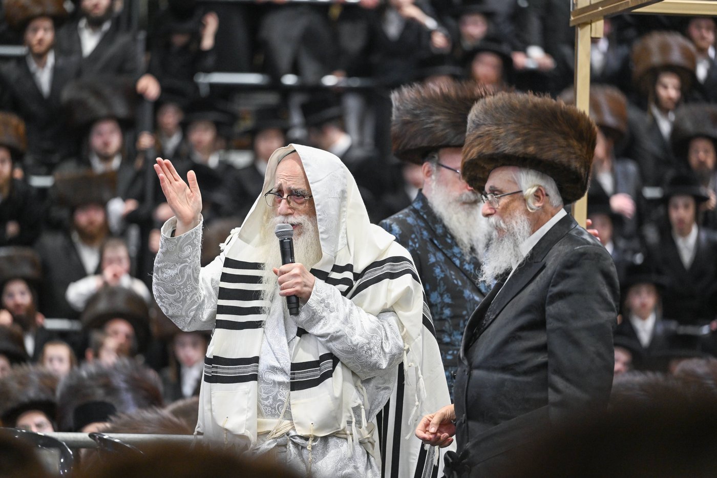 הקפות שניות בחצר הקודש צאנז