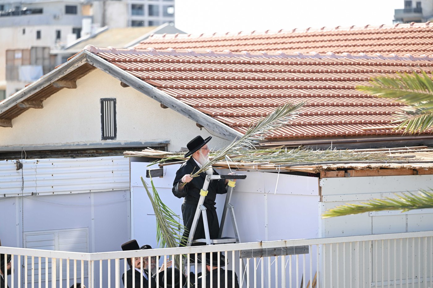 סוכות בחצר הקודש צאנז