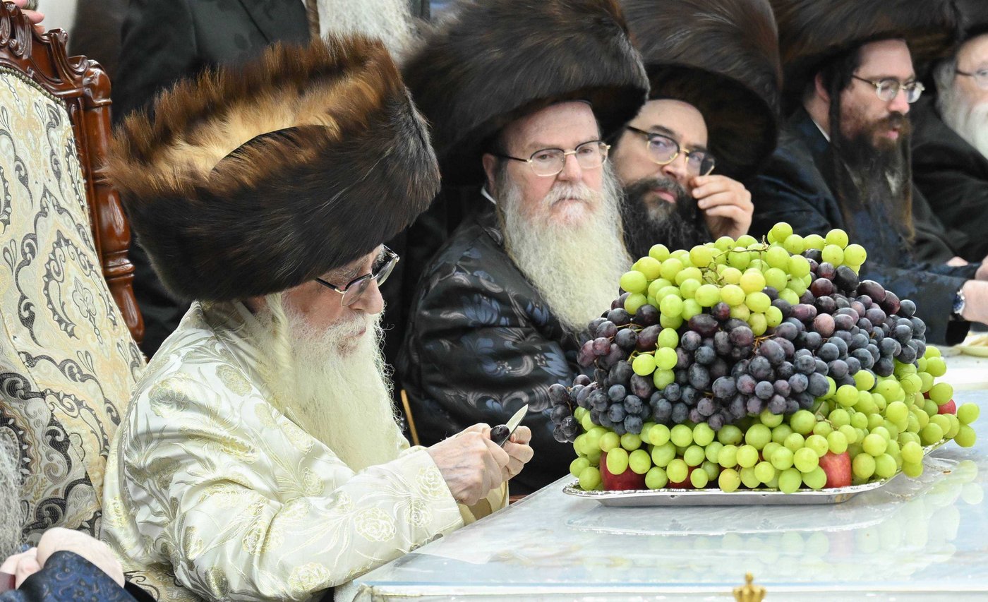 סוכות בחצר הקודש צאנז