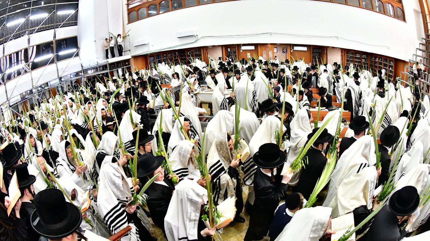 הושענא רבה אצל האדמו"ר מביאלה שליט"א | צילום: שוקי לרר