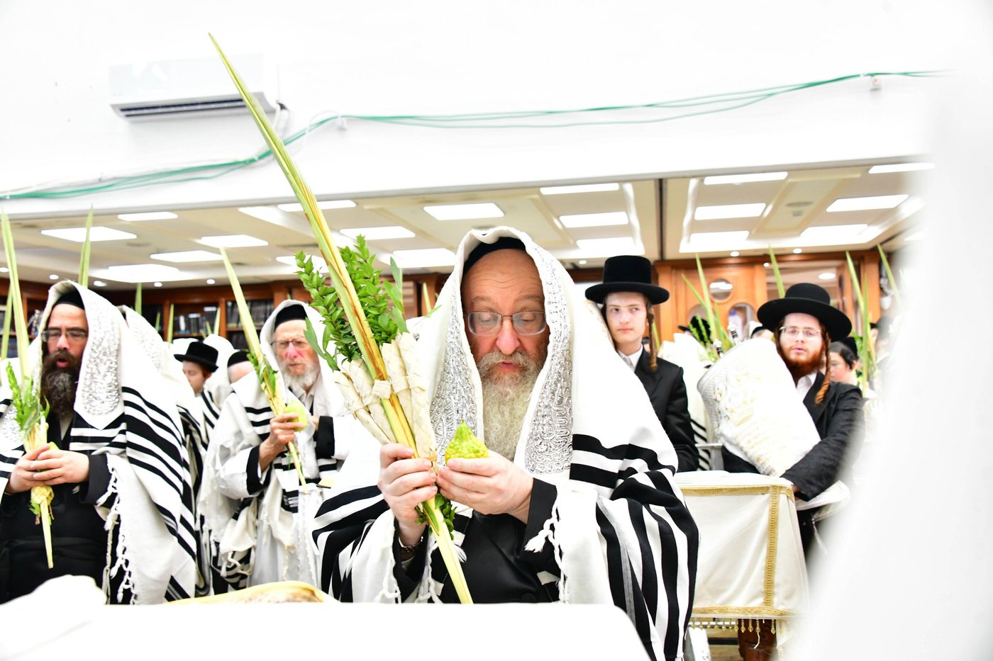 הושענא רבה אצל האדמו"ר מביאלה שליט"א | צילום: שוקי לרר