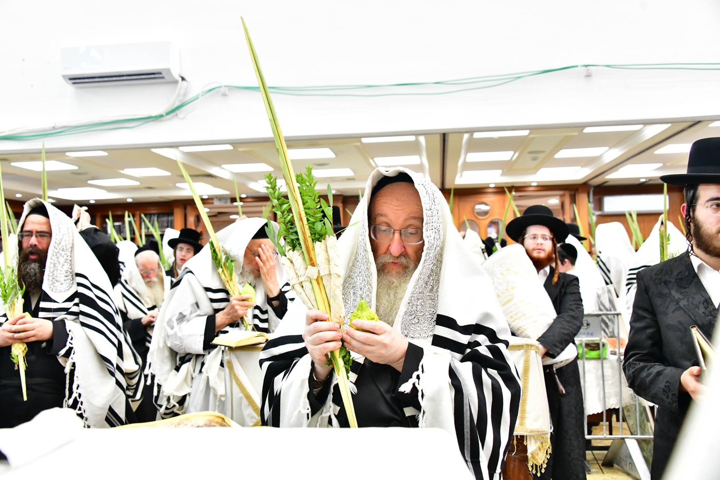 הושענא רבה אצל האדמו"ר מביאלה שליט"א | צילום: שוקי לרר