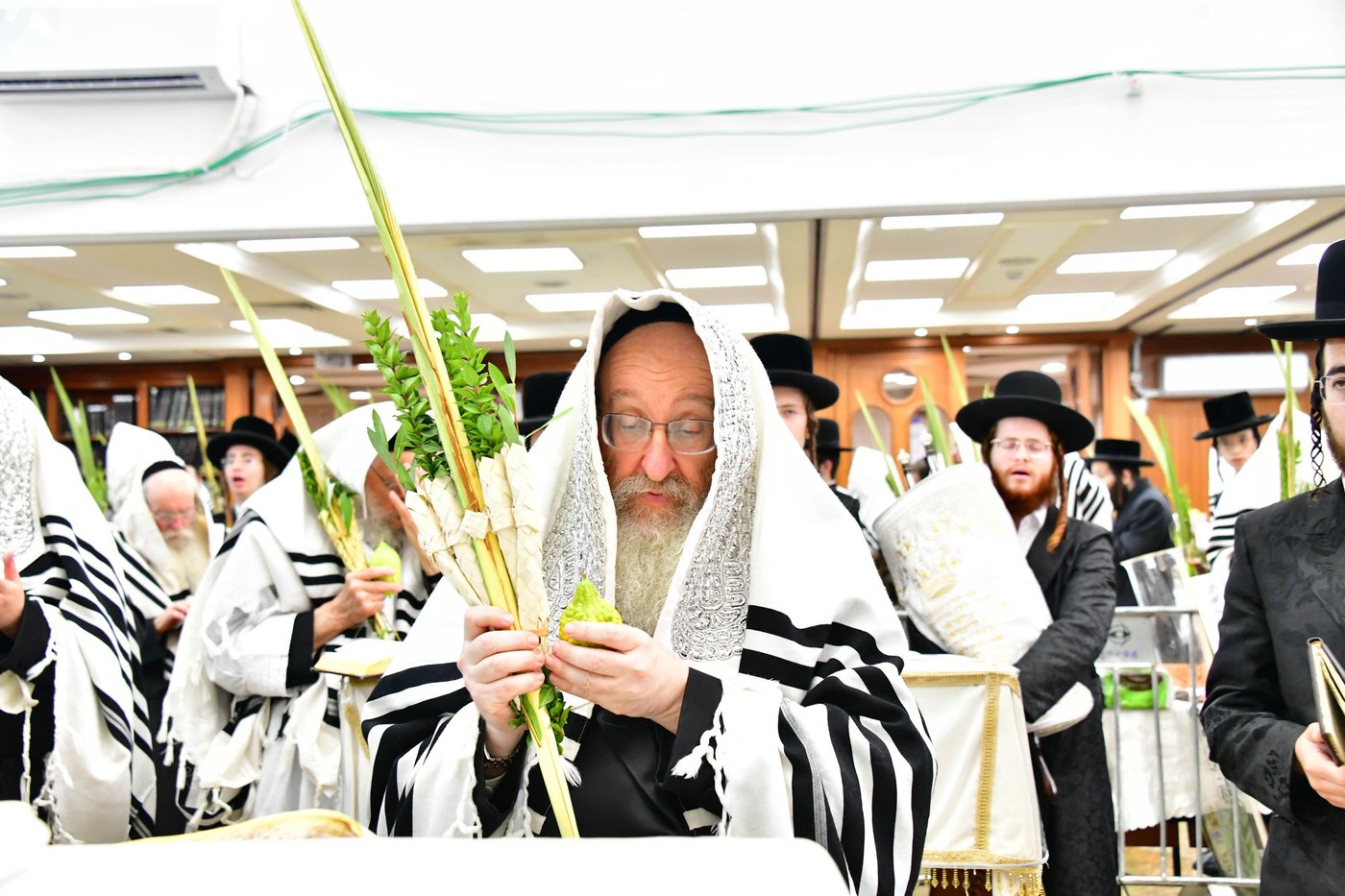 הושענא רבה אצל האדמו"ר מביאלה שליט"א | צילום: שוקי לרר