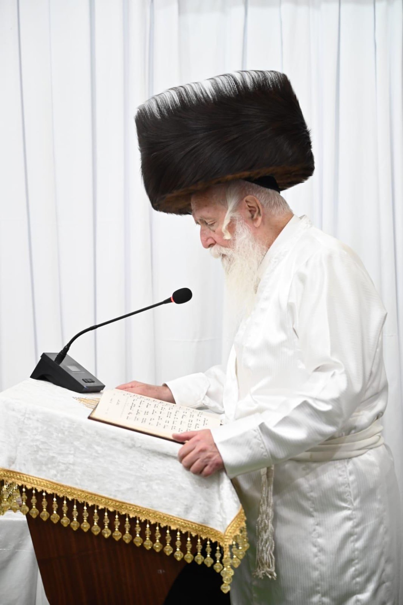 חג הסוכות אצל הגרי"ד גרוסמן | צילום: י.ש. חיימסון