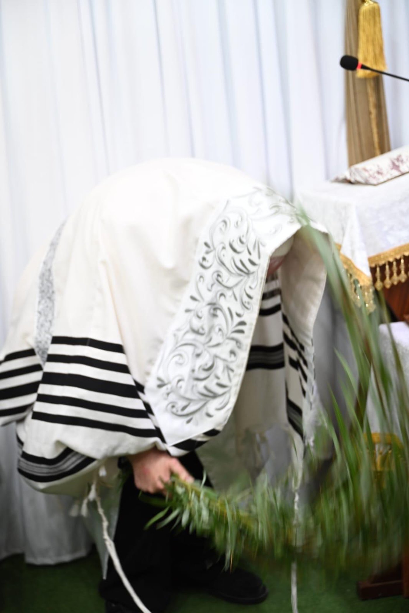 חג הסוכות אצל הגרי"ד גרוסמן | צילום: י.ש. חיימסון
