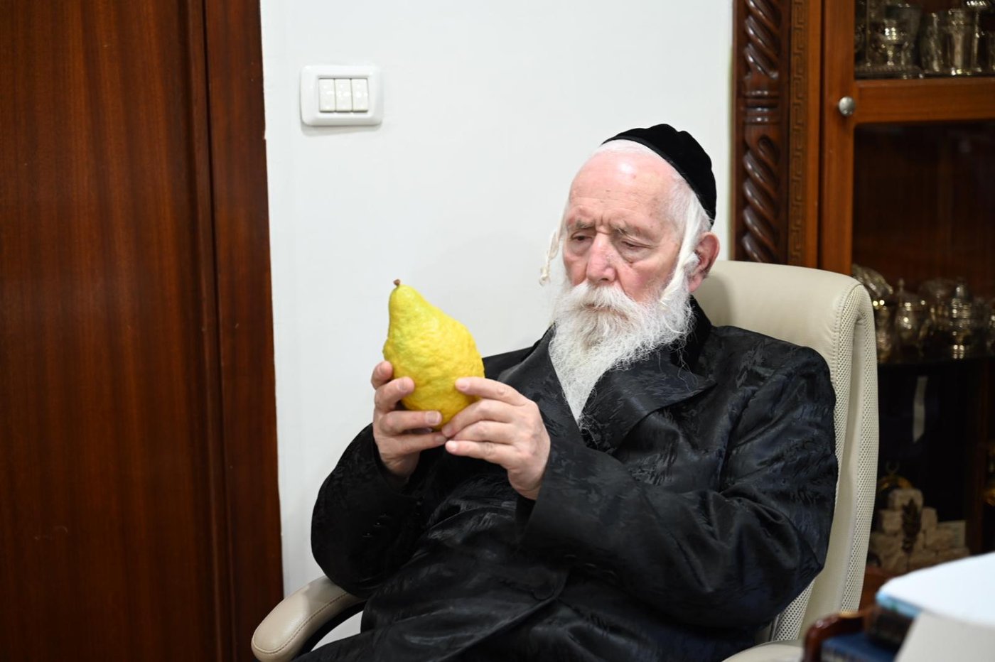 חג הסוכות אצל הגרי"ד גרוסמן | צילום: י.ש. חיימסון
