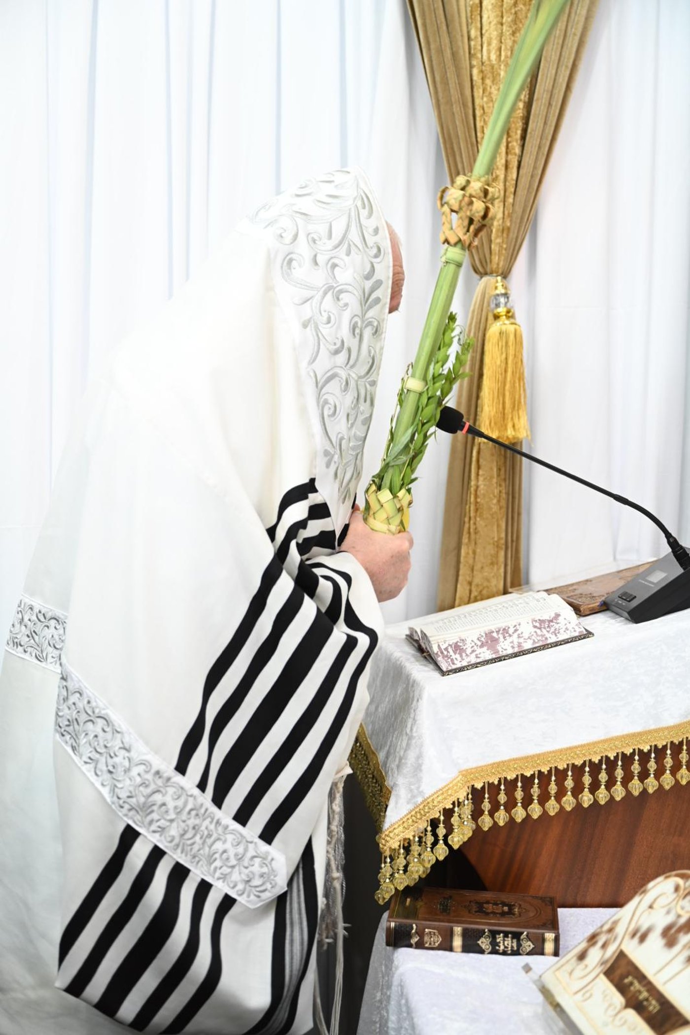 חג הסוכות אצל הגרי"ד גרוסמן | צילום: י.ש. חיימסון
