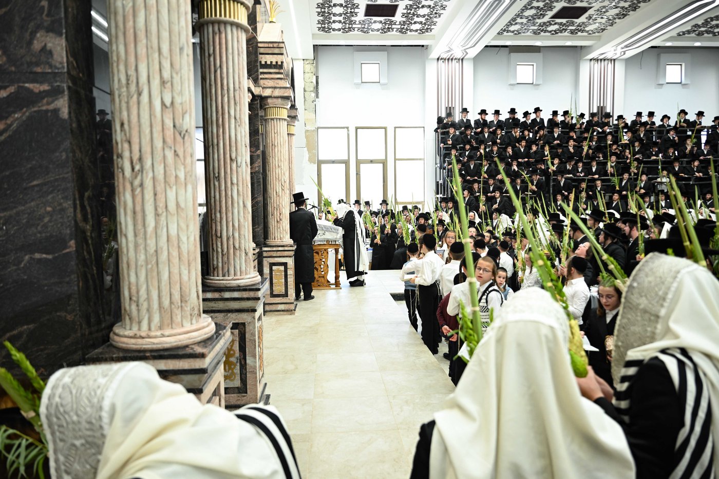 האדמו"ר מצאנז שליט"א בעבודת הנענועים