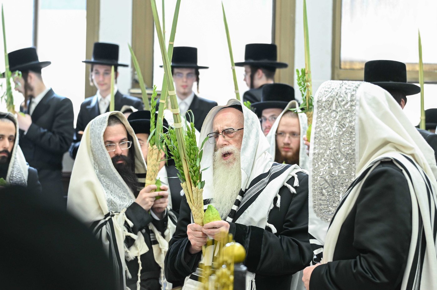 האדמו"ר מצאנז שליט"א בעבודת הנענועים