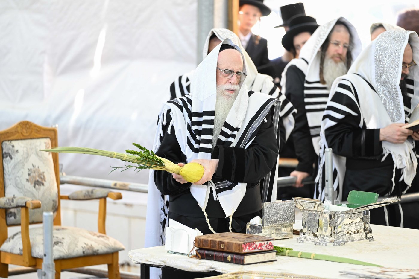 האדמו"ר מצאנז שליט"א בעבודת הנענועים