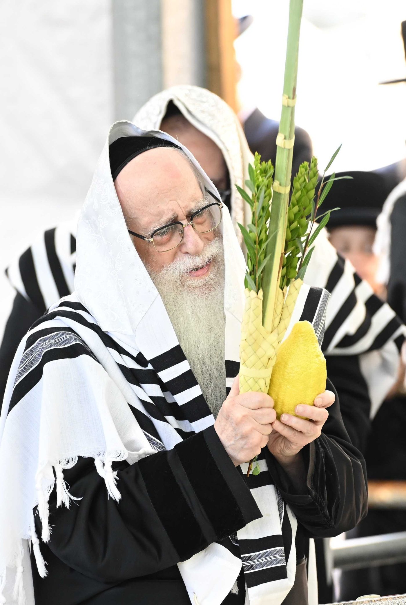 האדמו"ר מצאנז שליט"א בעבודת הנענועים