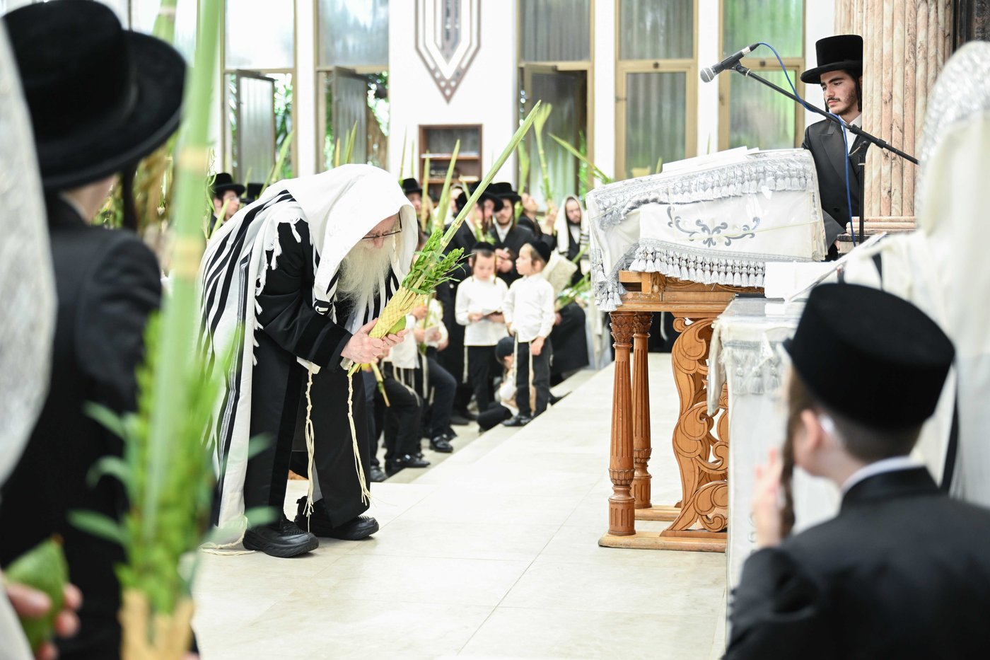 האדמו"ר מצאנז שליט"א בעבודת הנענועים