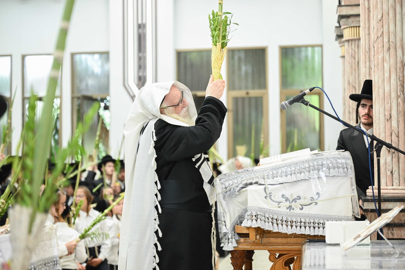 האדמו"ר מצאנז שליט"א בעבודת הנענועים