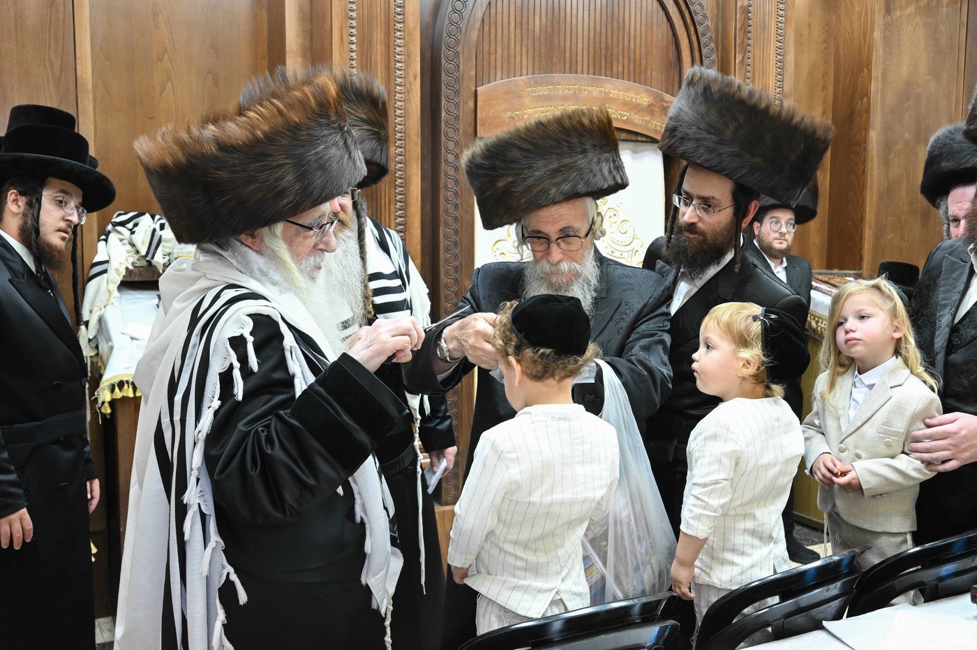 האדמו"ר מצאנז שליט"א בעבודת הנענועים