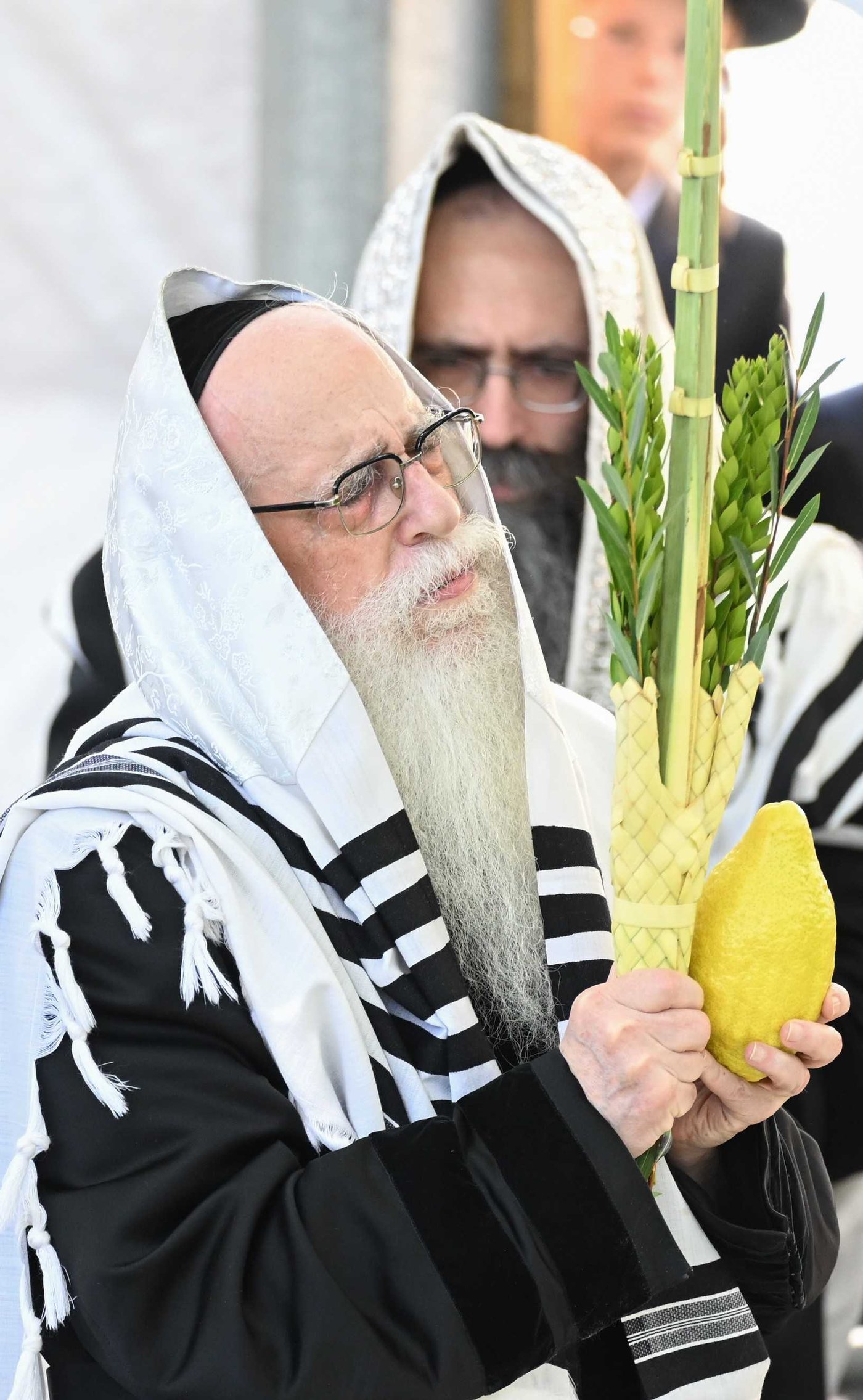 האדמו"ר מצאנז שליט"א בעבודת הנענועים