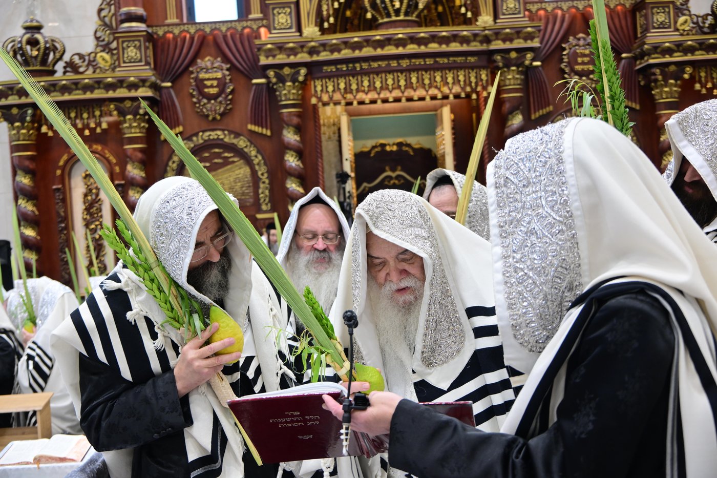 הושענא רבה בחצר דארג | צילום: באדיבות המצלם
