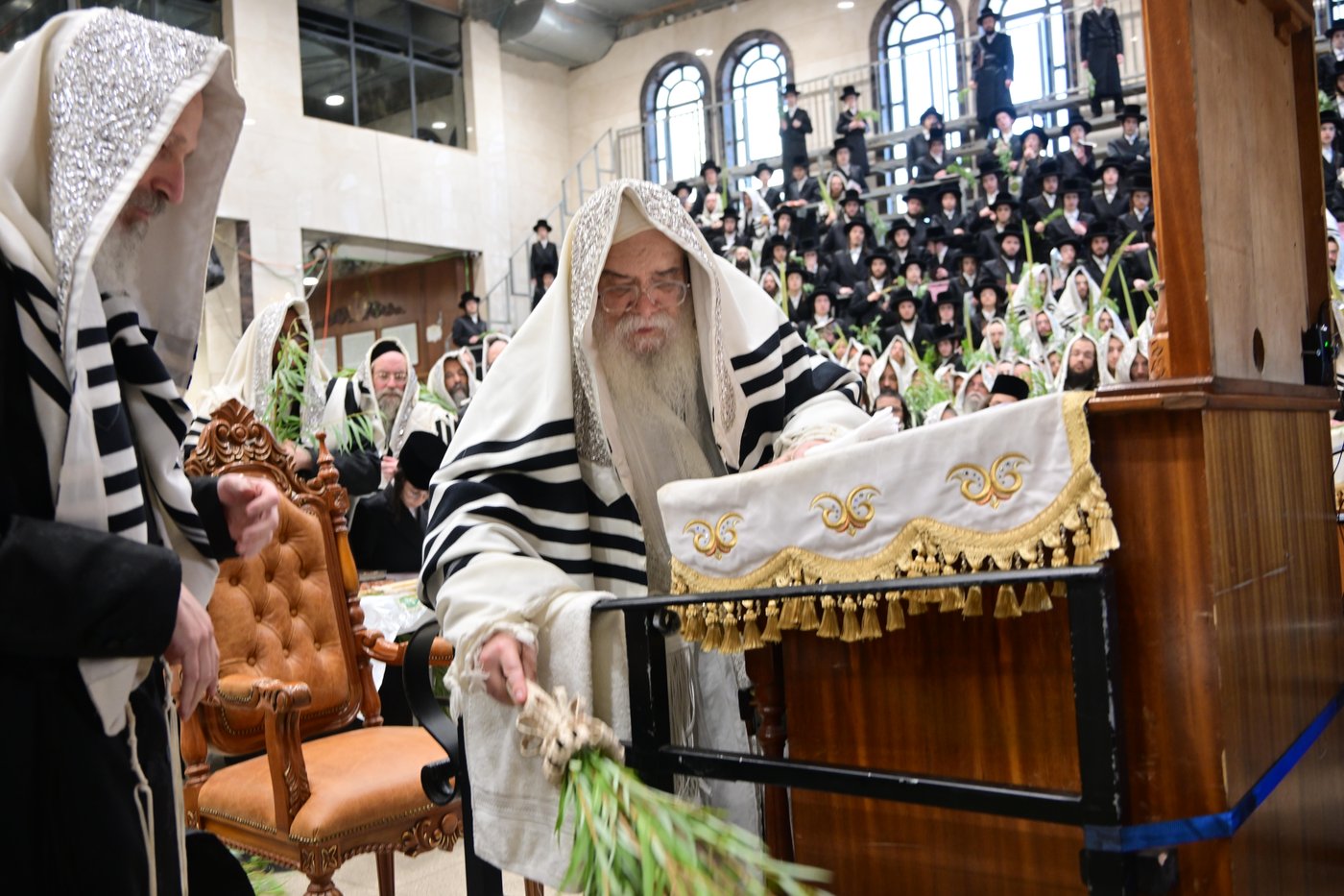 הושענא רבה בחצר דארג | צילום: באדיבות המצלם