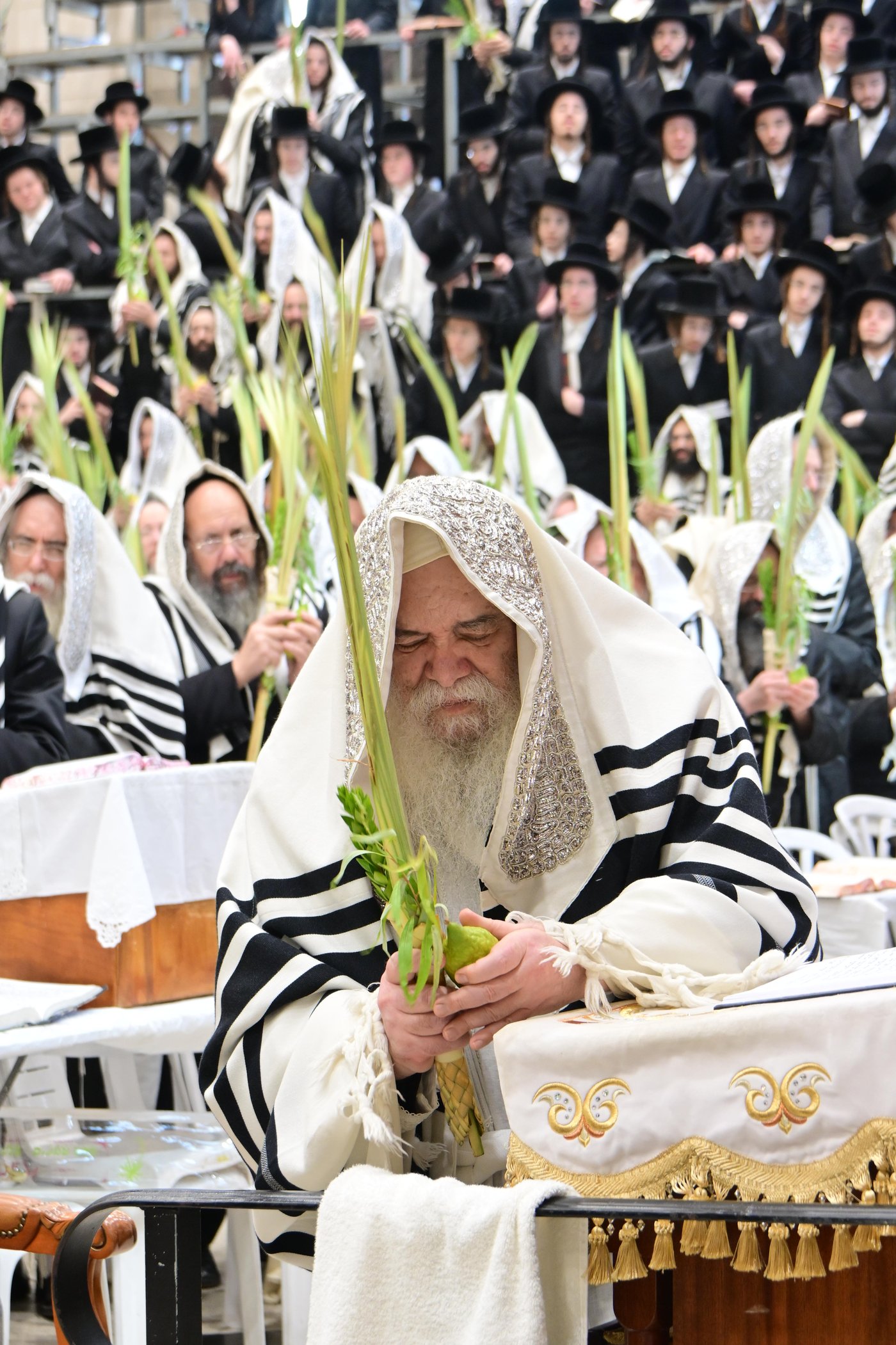 הושענא רבה בחצר דארג | צילום: באדיבות המצלם