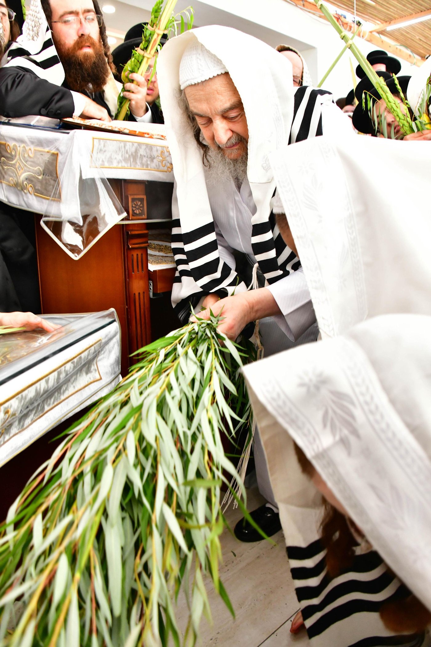 הושענא רבה אצל הגאון רבי יעקב מאיר שכטר