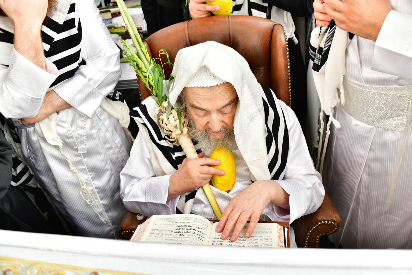 הושענא רבה אצל הגאון רבי יעקב מאיר שכטר