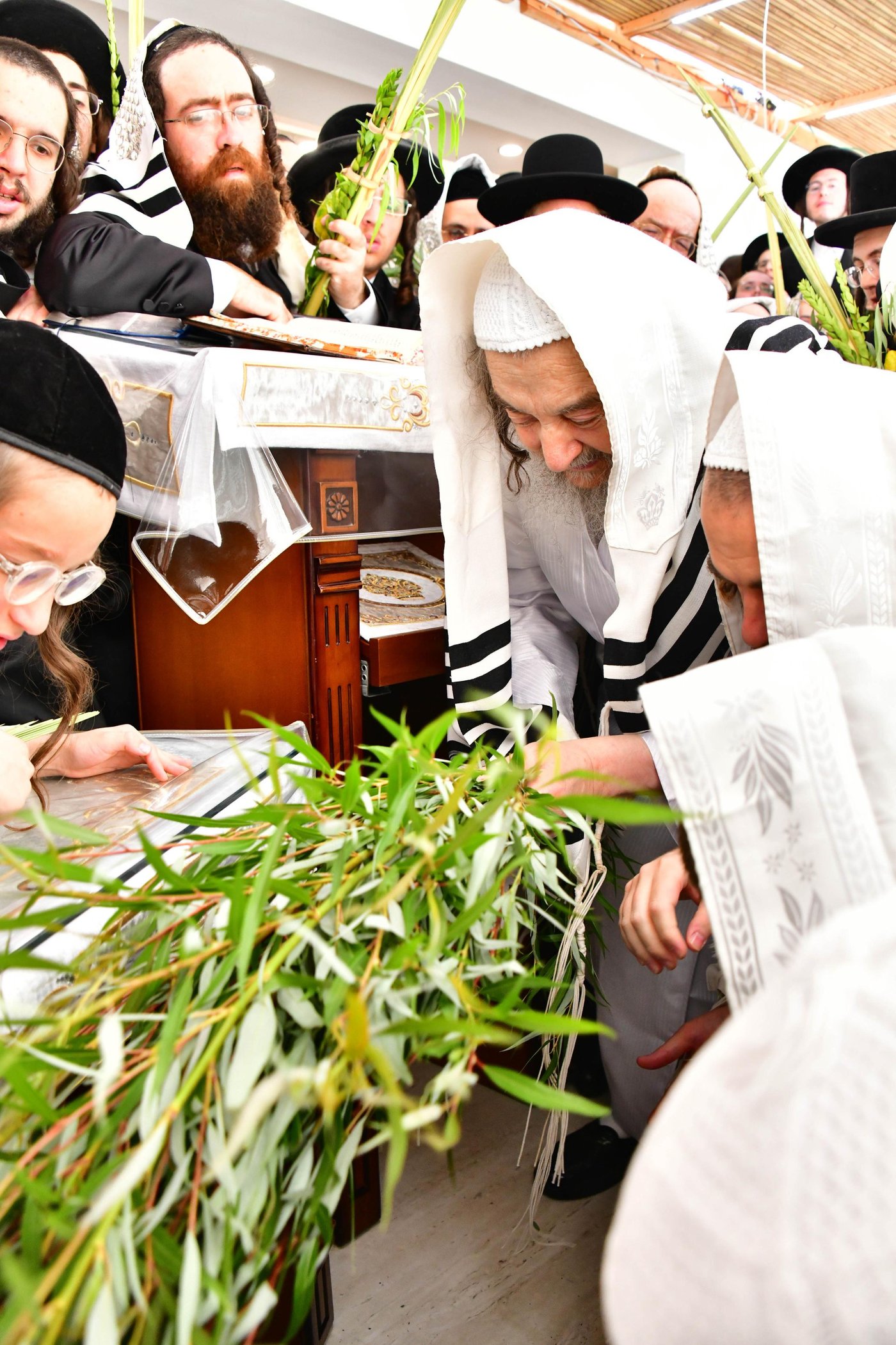 הושענא רבה אצל הגאון רבי יעקב מאיר שכטר