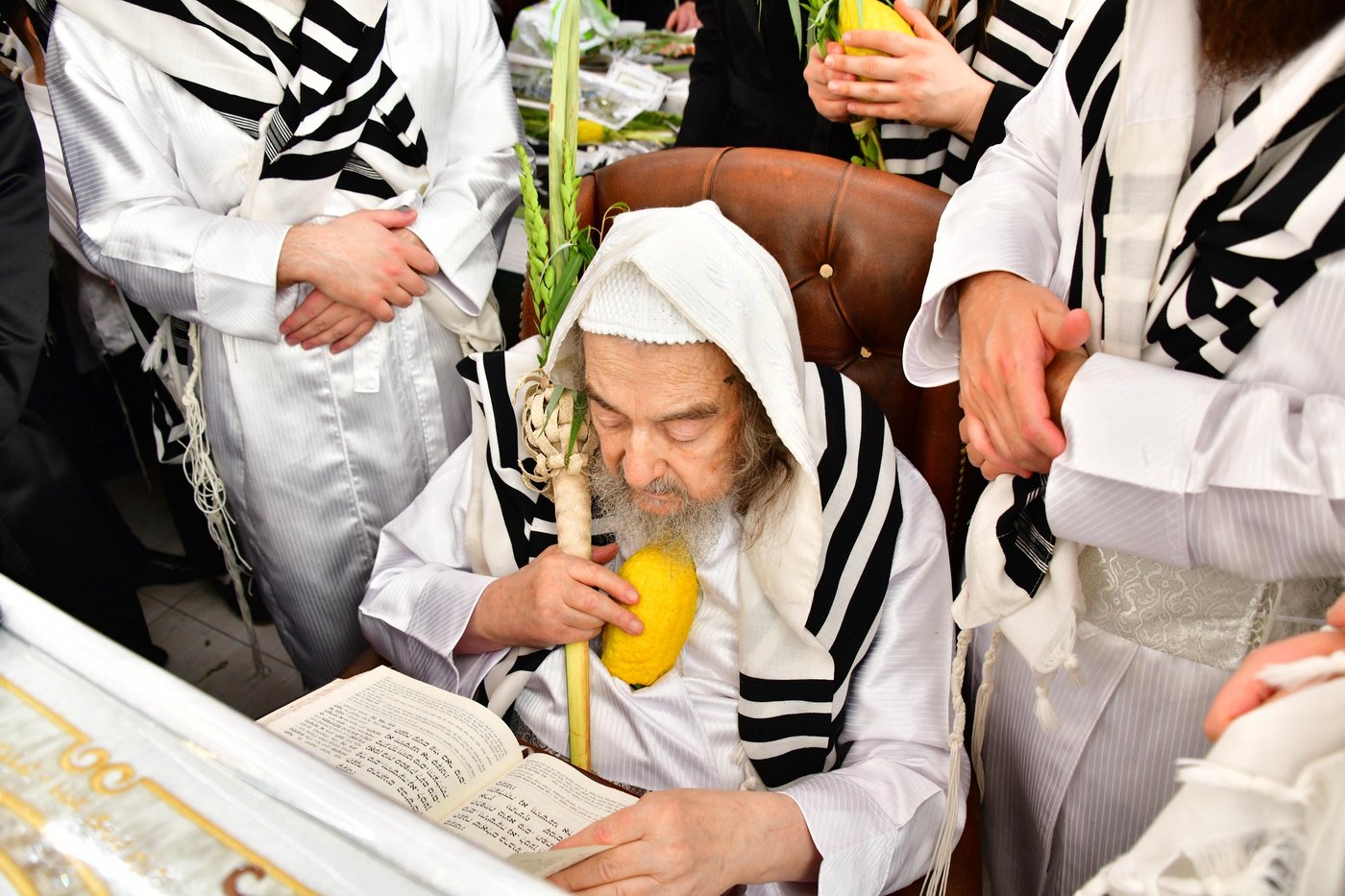 הושענא רבה אצל הגאון רבי יעקב מאיר שכטר