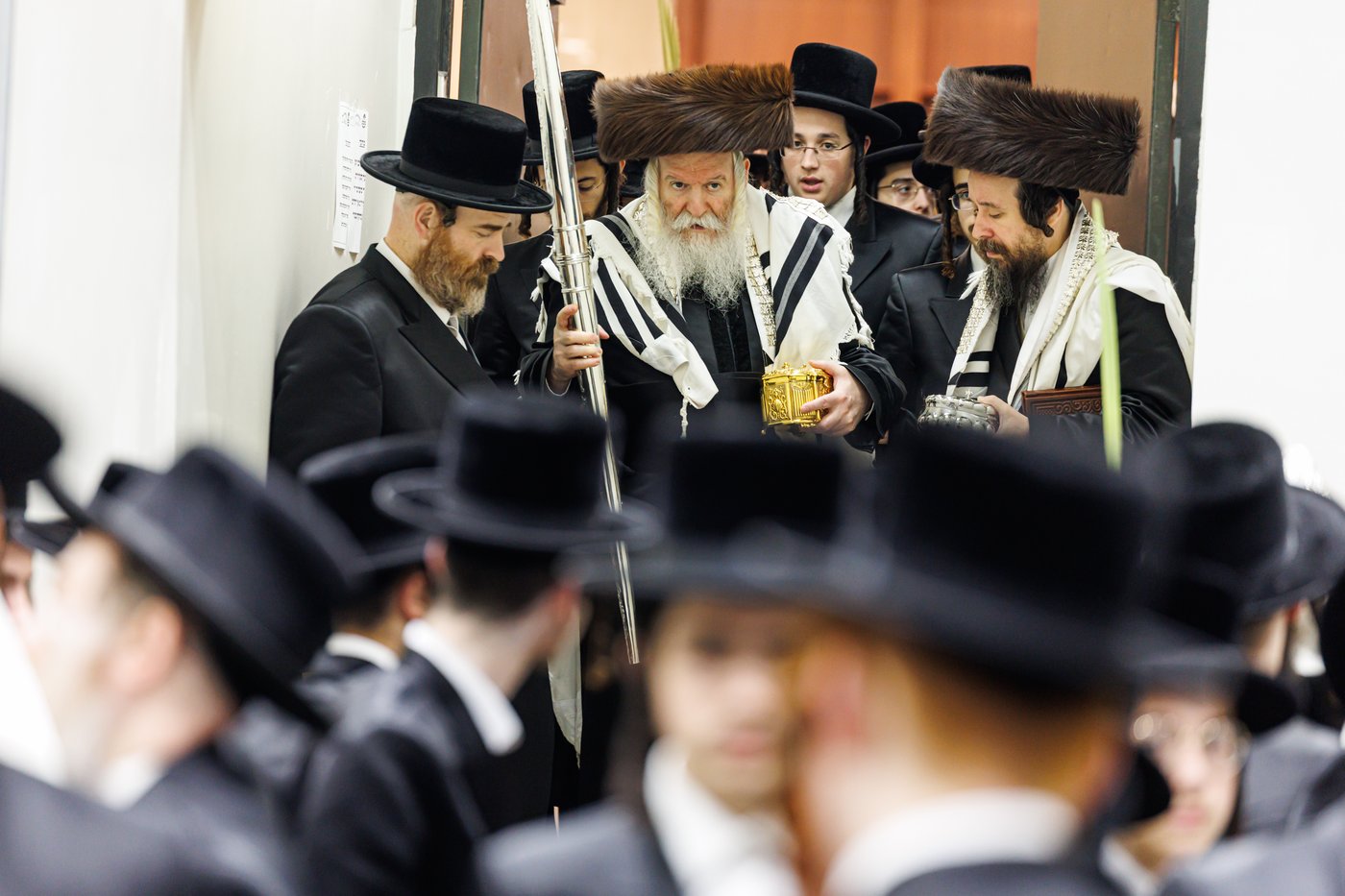 האדמו"ר מבאבוב שליט"א בנענועים בחג הסוכות | צילום: אחים לאנטשעווסקי