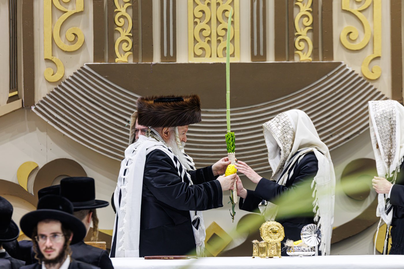 האדמו"ר מבאבוב שליט"א בנענועים בחג הסוכות | צילום: אחים לאנטשעווסקי