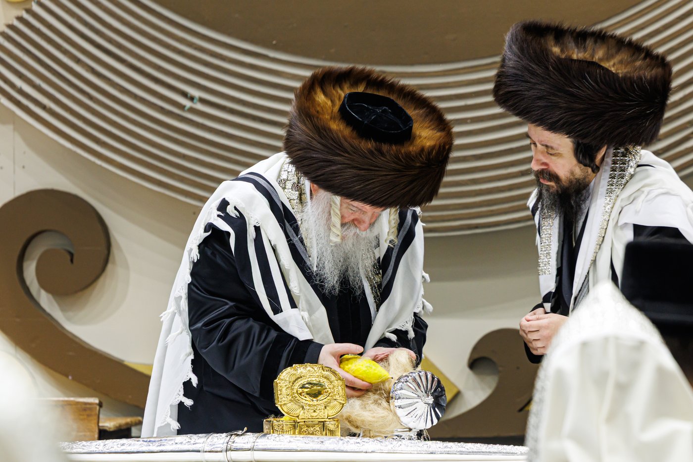 האדמו"ר מבאבוב שליט"א בנענועים בחג הסוכות | צילום: אחים לאנטשעווסקי