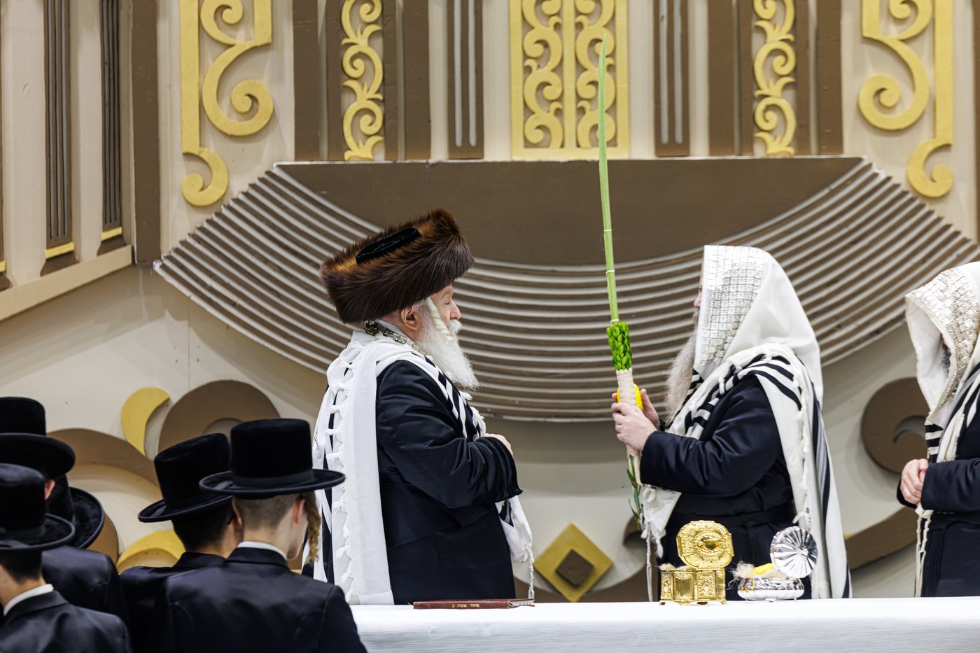 האדמו"ר מבאבוב שליט"א בנענועים בחג הסוכות | צילום: אחים לאנטשעווסקי