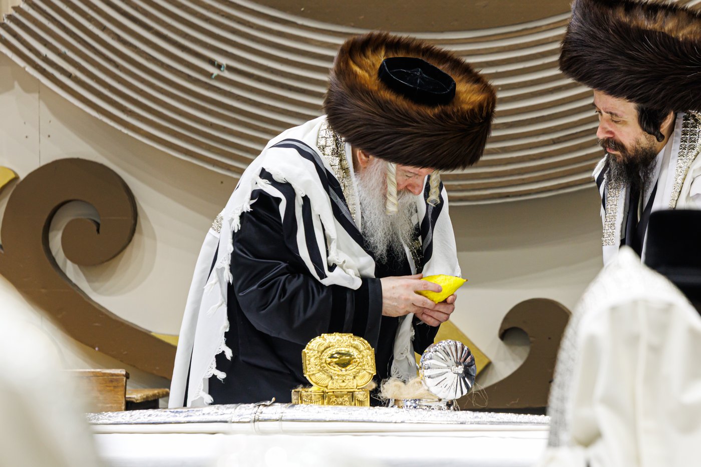 האדמו"ר מבאבוב שליט"א בנענועים בחג הסוכות | צילום: אחים לאנטשעווסקי