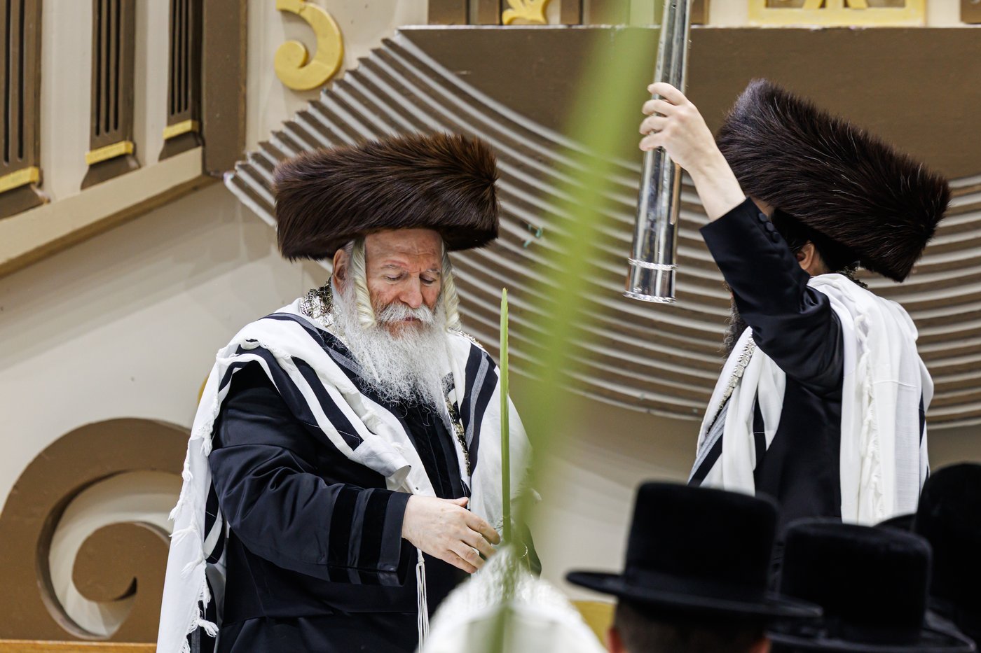 האדמו"ר מבאבוב שליט"א בנענועים בחג הסוכות | צילום: אחים לאנטשעווסקי