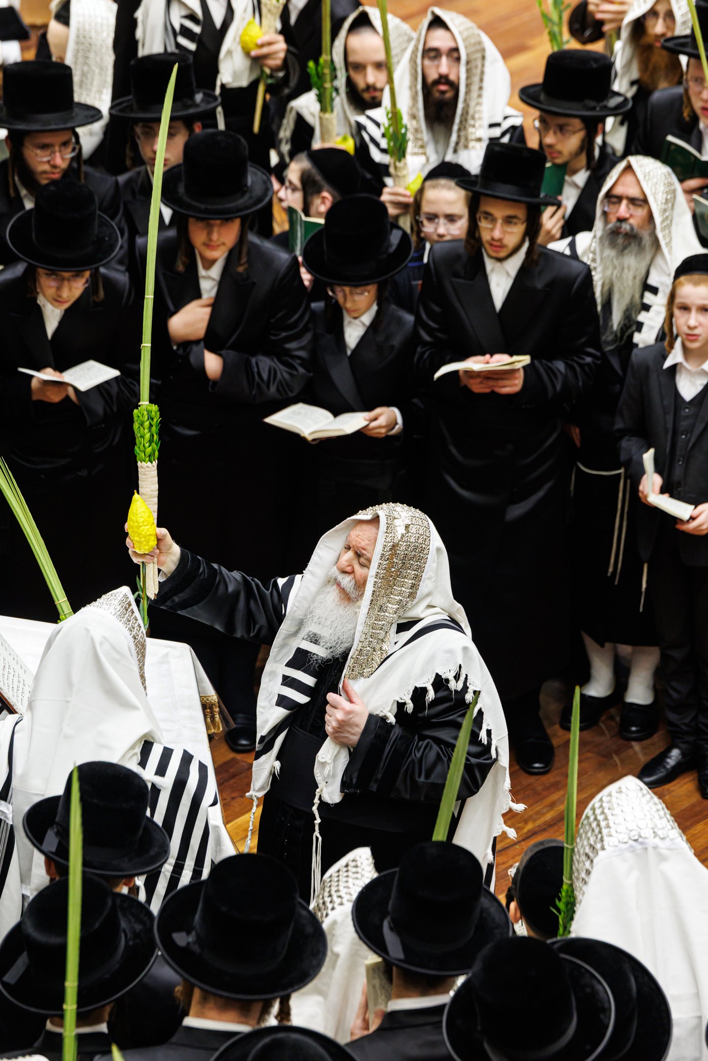 האדמו"ר מבאבוב שליט"א בנענועים בחג הסוכות | צילום: אחים לאנטשעווסקי