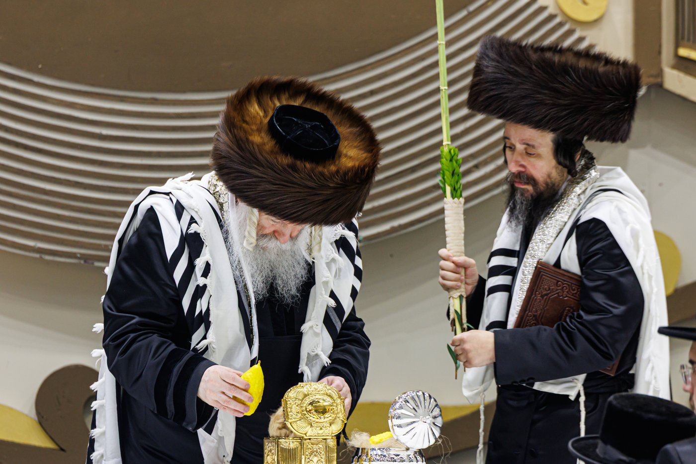 האדמו"ר מבאבוב שליט"א בנענועים בחג הסוכות | צילום: אחים לאנטשעווסקי