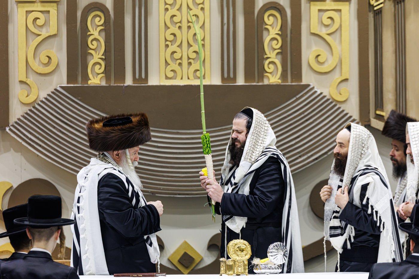 האדמו"ר מבאבוב שליט"א בנענועים בחג הסוכות | צילום: אחים לאנטשעווסקי