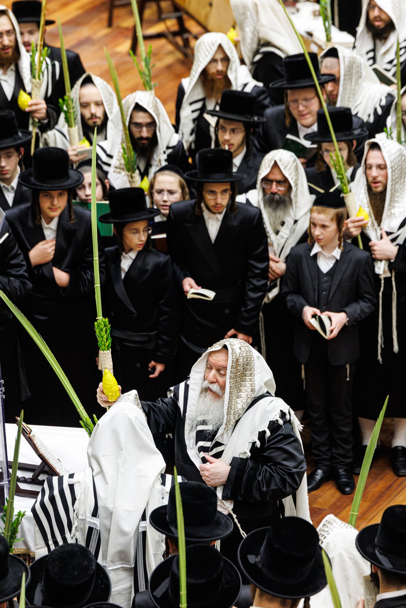 האדמו"ר מבאבוב שליט"א בנענועים בחג הסוכות | צילום: אחים לאנטשעווסקי