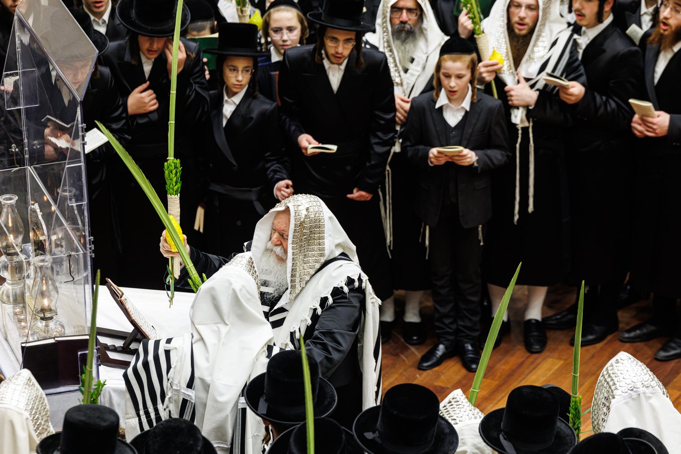 האדמו"ר מבאבוב שליט"א בנענועים בחג הסוכות | צילום: אחים לאנטשעווסקי